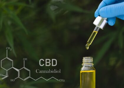 Weedy.fr : l’adresse pour choisir les meilleures huiles du marché aux meilleurs prix